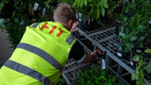 Maximise Seasonal Retail Trends in Australia